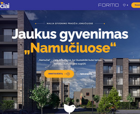 Svetainių dizainas (web design) - Svetainių kūrimas verslui Kaune: greita ir su Seo - 1