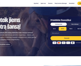 HTML/CSS kodavimas - Svetainių kūrimas verslui Kaune: greita ir su Seo - 1
