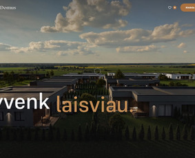 Interneto svetainių kūrimas - Svetainių kūrimas verslui Kaune: greita ir su Seo - 3