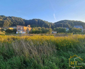 Kitos kategorijos - NT brokerė Kaune: pardavimas, pirkimas ir konsultacijos - 3