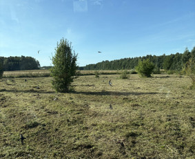 Apleistų sklypų tvarkymas - Žolės Pjovimas / Žemės darbai / Aplinkos priežiūra - 2