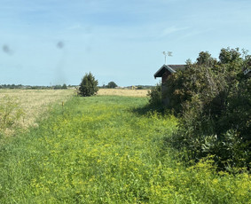 Pievų &scaron;ienavimas - Žolės Pjovimas / Žemės darbai / Aplinkos priežiūra - 4