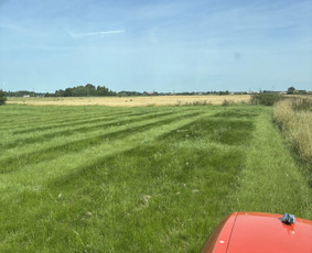 Pievų &scaron;ienavimas - Žolės Pjovimas / Žemės darbai / Aplinkos priežiūra - 3
