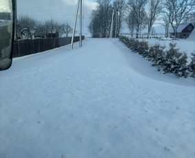 Statybos, apdaila - Žolės Pjovimas / Žemės darbai / Aplinkos priežiūra - 1
