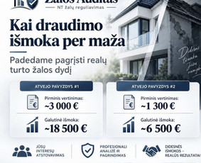 Buitinės paslaugos - NT žalų administravimas ir draudimo i&scaron;mokų vertinimas - 1