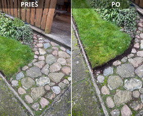 Sodų/želdynų formavimas, priežiūra ir vystymas / Jurgita Mieliauskaitė / Darbų pavyzdys ID 4582992