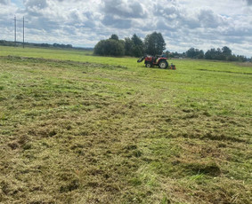 Sodų/želdynų formavimas, priežiūra ir vystymas / Jurgita Mieliauskaitė / Darbų pavyzdys ID 4583042