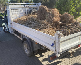 Sodų/želdynų formavimas, priežiūra ir vystymas / Jurgita Mieliauskaitė / Darbų pavyzdys ID 4583090