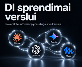 Dirbtinio intelekto sprendimai - Di sprendimai, procesų automatizavimas ir verslo sistemos - 3