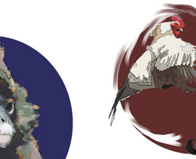 Dailininkas - Iliustracijų piešimas - 1 Iliustracijų piešimas - Dailininkas - 1