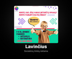 Lavinčius – socialinių tinklų reklama