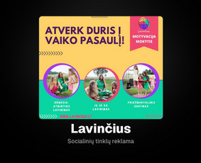Lavinčius – socialinių tinklų reklama