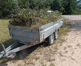 Žolės pjovimas/mulčiavimas ir apleistų sklypu tvarkymas / Jaroslav / Darbų pavyzdys ID 4585638