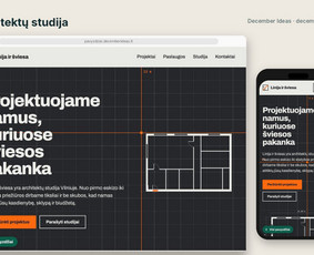 Svetainių dizainas (web design) - Svetainių kūrimas, Seo ir naujienlai&scaron;kiai smulkiam verslui - 4