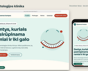 Interneto svetainių priežiūra - Svetainių kūrimas, Seo ir naujienlai&scaron;kiai smulkiam verslui - 1