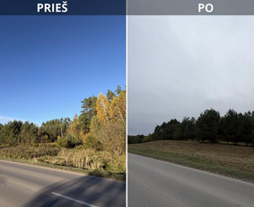 Vejos priežiūra, įrengimas - Sudėtingų teritorijų ir &scaron;laitų &scaron;ienavimas - 2