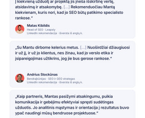 SEO paslaugos - Seo, Ai Seo jūsų projektui. Nemokamas Seo/ai auditas - 2
