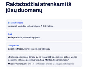 Seo, Ai Seo jūsų projektui. Nemokamas Seo/ai auditas / Mantas Tamošaitis / Darbų pavyzdys ID 4586406