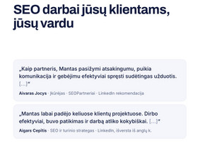 Seo, Ai Seo jūsų projektui. Nemokamas Seo/ai auditas / Mantas Tamošaitis / Darbų pavyzdys ID 4586432