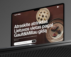 Interneto svetainių kūrimas - Interneto svetainių kūrimas nuo 499 &euro; - 2