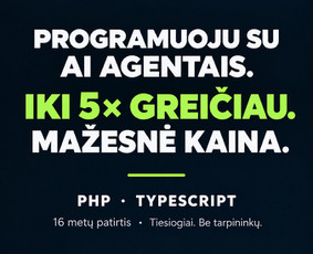 Programuotojai - Verslo sistemų kūrimas, priežiūra ir modernizavimas - 1