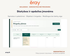Programuotojai - Eray &ndash; programos verslui, Excel ir Ai automatizavimas - 4