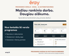 Programuotojai - Eray &ndash; programos verslui, Excel ir Ai automatizavimas - 1