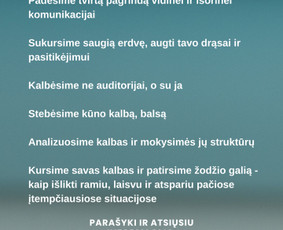 Mokymai, kursai, kalbos - Vie&scaron;ojo Kalbėjimo Mokymai - 3