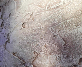 Interjero dekoravimas - Sienų tapyba ir dekoravimas - 2