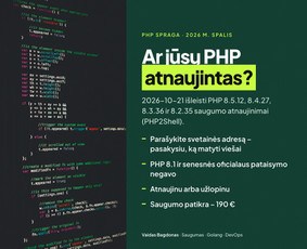 Programuotojai - Nulaužta svetainė? I&scaron;valau, uždarau spragas, prižiūriu - 2