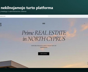 Skaitmenizacijos paslaugos - Svetainės, analitika, dashboardai ir Ai sprendimai verslui - 4
