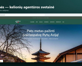 Programavimas su WordPress - Svetainių kūrimas verslui, optimizacija, duomenų analitika - 2