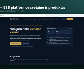 Interneto svetainių kūrimas - Svetainių kūrimas verslui, optimizacija, duomenų analitika - 2