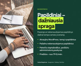 Programuotojai - Nulaužta svetainė? I&scaron;valau, uždarau spragas, prižiūriu - 4