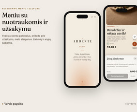 Jūsų verslo augimas – nuo svetainės iki automatizacijos / Tomas Butkus / Darbų pavyzdys ID 4591870