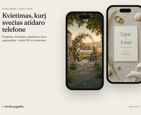 Jūsų verslo augimas – nuo svetainės iki automatizacijos / Tomas Butkus / Darbų pavyzdys ID 4591874