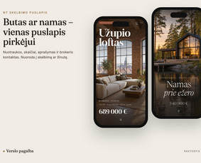 Jūsų verslo augimas – nuo svetainės iki automatizacijos / Tomas Butkus / Darbų pavyzdys ID 4591878