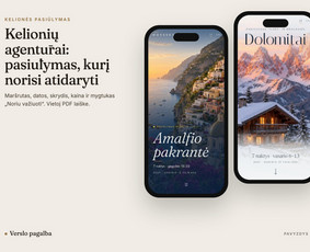 Jūsų verslo augimas – nuo svetainės iki automatizacijos / Tomas Butkus / Darbų pavyzdys ID 4591880
