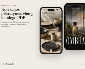 Jūsų verslo augimas – nuo svetainės iki automatizacijos / Tomas Butkus / Darbų pavyzdys ID 4591884