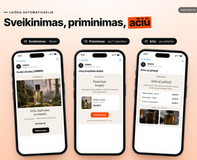 Jūsų verslo augimas – nuo svetainės iki automatizacijos / Tomas Butkus / Darbų pavyzdys ID 4592090
