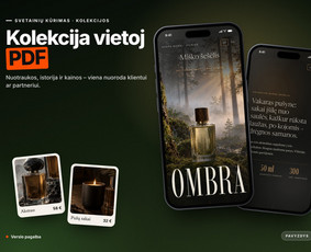 Jūsų verslo augimas – nuo svetainės iki automatizacijos / Tomas Butkus / Darbų pavyzdys ID 4592100