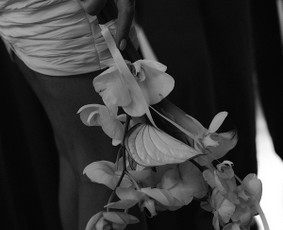Vestuvių fotografė Matinė / Oksana Bražiūnienė / Darbų pavyzdys ID 4592576