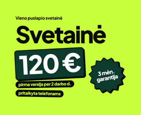 Svetainių kūrimas - Svetainė: pirma versija per 2 darbo dienas. Sistemos, Ai - 2