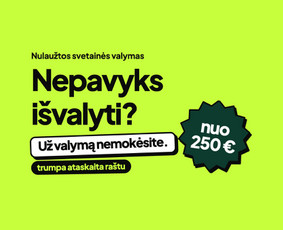 Programuotojai - Svetainė: pirma versija per 2 darbo dienas. Sistemos, Ai - 4