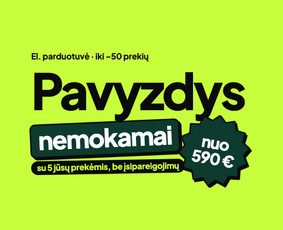Programuotojai - Svetainė: pirma versija per 2 darbo dienas. Sistemos, Ai - 2