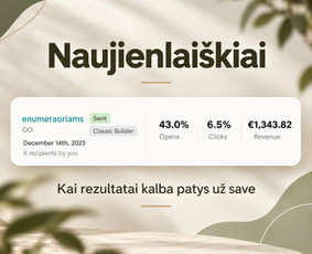 Naujienlai&scaron;kių kūrimas ir sklaida - Meta / Chatgpt / Google reklama - 2