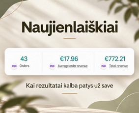 Naujienlai&scaron;kių kūrimas ir sklaida - Meta / Chatgpt / Google reklama - 1