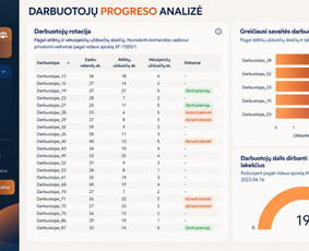 Skaitmenizacijos paslaugos - Duomenų analitika, statistikos, skaičiavimai, ataskaitos. - 3