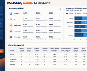 Skaitmenizacijos paslaugos - Duomenų analitika, statistikos, skaičiavimai, ataskaitos. - 2