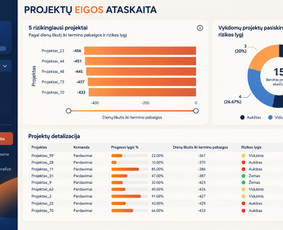 Skaitmenizacijos paslaugos - Duomenų analitika, statistikos, skaičiavimai, ataskaitos. - 1
